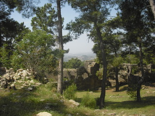 ruins of ancient Greek city on the territory of modern Turkey in the mountains. The ruins are overgrown with trees and dense grass. Once there was seething life, and now silence.