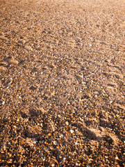beach floor background texture stones cobbles various wet sun
