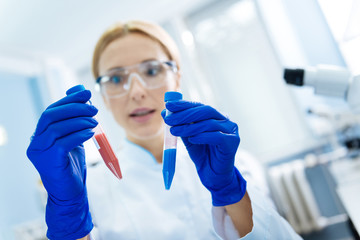 Comparing samples. Concentrated promising blond scientist holding test tubes and wearing a uniform...