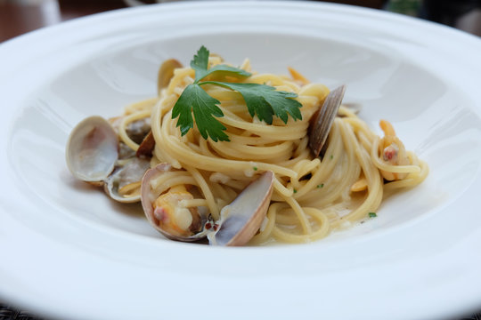 Spagetti white sauce with fresh clams