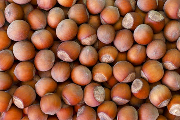 Huzelnut background, closeup.