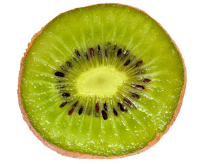 Ripe kiwi cut close up top view