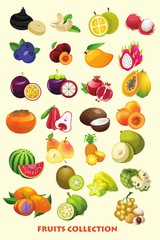 Fruits cartoon collection for kids