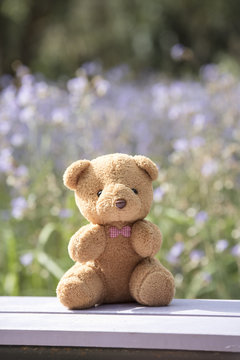 Teddy bear on a flower background blurred