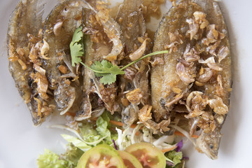 Deep Fried Fish with Garlic