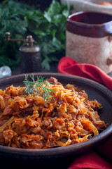 Traditional Polish bigos made from fresh and sour cabbage, selective focus