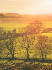 Fototapeta na wymiar Red, Orange and yellow glow of a sunset over green pastures and trees in the English Countryside.