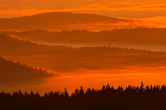 Fototapeta Cold morning in Sumava National park, hills and villages in the fog and rime, misty view on czech landscape, blue winter scene, Czech. Morning orange fog with forest hills. Sunset in Sumava mountain.