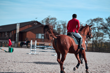 Dressage horse. A close up view of a horse in competition race