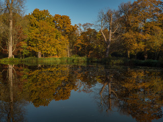 Fototapeta na wymiar Autumn glory reflected in water