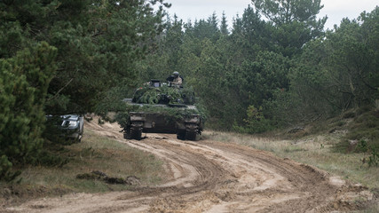 Fototapeta premium Exercise Brave Lion 2017
