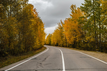 Fototapeta premium Rural autumn road in Leningrad Region, Russia