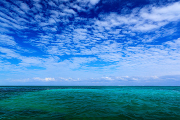 Obraz premium Morze na Karaibach z niebieskim niebem i białą chmurą. Powierzchnia wody w oceanie. Piękny poranek zmierzchu morze krajobraz. Różowe chmury z błękitnymi falami oceanu. Woda na piaszczystej plaży. Zielona woda w pobliżu wybrzeża Meksyku