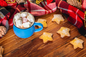 cup of cocoa with marshmallow and home cookies.