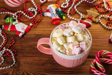Cup of cocoa with marshmallow