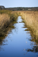 River between grass and meadows in autumn season