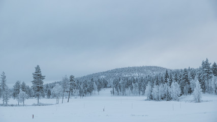 Snowy mountains in lapland