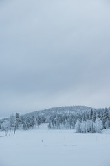 Snowy mountains in lapland