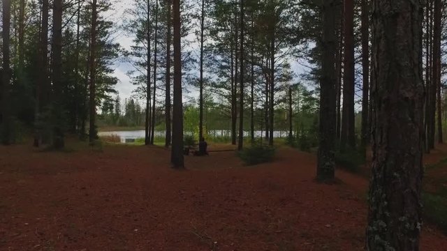 Pretty girl sitting alone on a wood in the forest. Steadicam shot. Drinking hot tea.