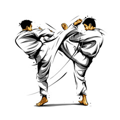 karate action 3 - obrazy, fototapety, plakaty