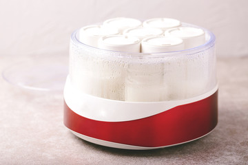 Homemade greek yogurt and yogurt maker. Healthy food