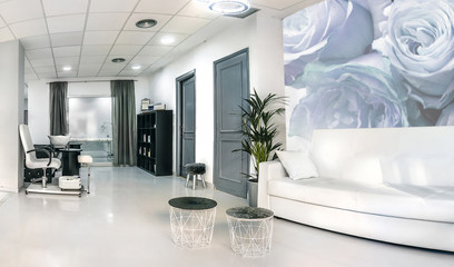 Reception of a bright beauty salon with sofa, table and plant. Interior design.