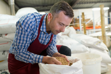 man holding beer malt in his hands