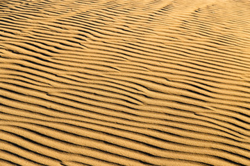 Sand in the desert as a background