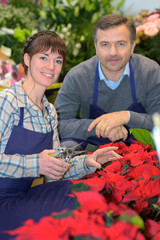 male and female florists with beautiful bouquets in greenhouse