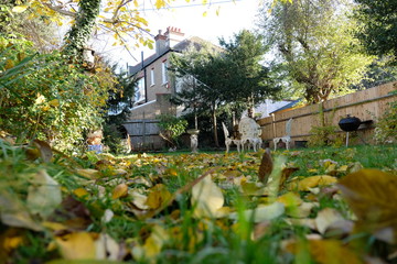 The English Autumn