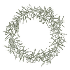 Obraz premium A branch of ripe olives is juicy poured with oil. Farmers market menu design. Organic food poster. Vintage hand drawn sketch vector illustration. Linear graphic.