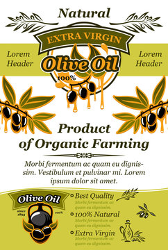 Olive oil banner of natural organic food design
