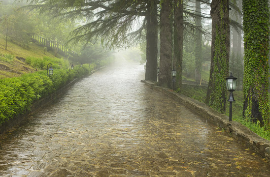 path way in rainy day in the park in Georgia