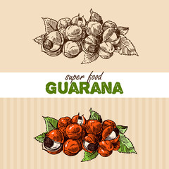 Hand drawn vector illustration superfoods.