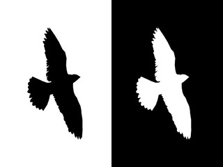 Shadow of flying bird. Vector set