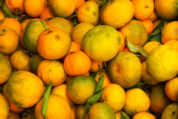 Background with greenish mandarin oranges with leaves