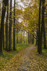 Autumn city park, Minsk, Belarus