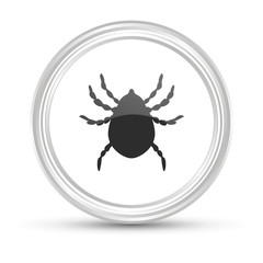 Weißer Button - Zecke - Insekt