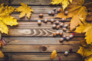Hazelnuts are scattered on a wooden table. Useful nuts concept.