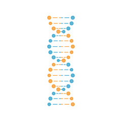 DNA in blue and orange color. Vector illustration