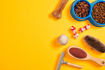 Accessories for the grooming of the dog. Combs and brushes for dogs. Top view