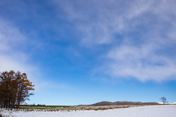 北海道　冬の田園風景