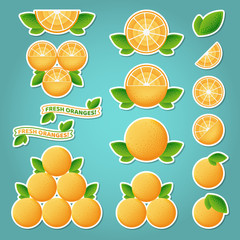 Orange fruit set of stickers. Fruit labels design concept. Eps10 vector.