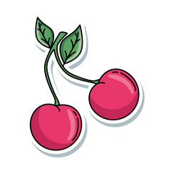 delicious cherry isolated icon vector illustration design