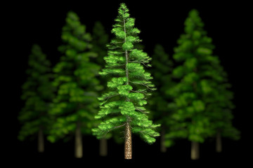 Beautiful christmas trees isolated on a black background. 3d illustration