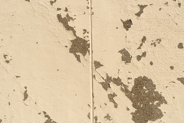 モルタル壁　リフォーム素材