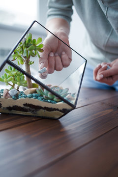 Picture of florist's webinar on making florarium with stones and succulents