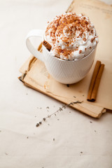 Cup of cocoa with cinnamon, whipped cream and chocolate. Textile background. Scandinavian winter concept. Vertical composition.