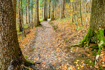 Obraz premium footpath