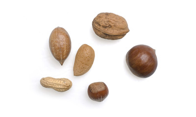 Nüsse - gesund nicht nur im Winter.